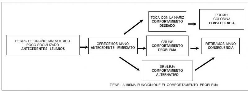 Diagrama de evaluación funcional