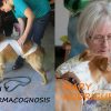 INTRODUCCIÓN A TELLINGTON TTOUCH® Y ZOOFARMACOGNOSIS CON MARY RODRÍGUEZ. ENERO 2016