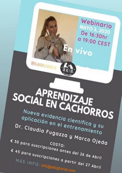 Webinar con Claudia Fugaza sobre aprendizaje social