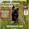 webinar cachorros Claudia Fugazza