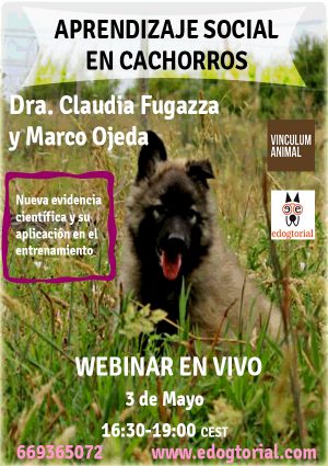 webinar cachorros Claudia Fugazza