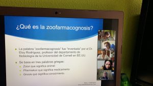 seminario online de zoofarmacognosis con Mary Rodríguez