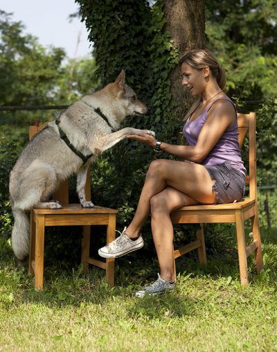 Claudia Fugazza en silla dando la mano a perra