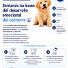 Desarrollo emocional del cachorro. Lealcan