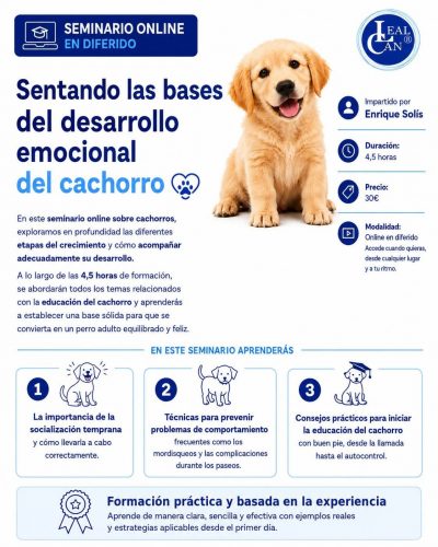 Desarrollo emocional del cachorro. Lealcan
