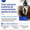 Comportamientos agresivos