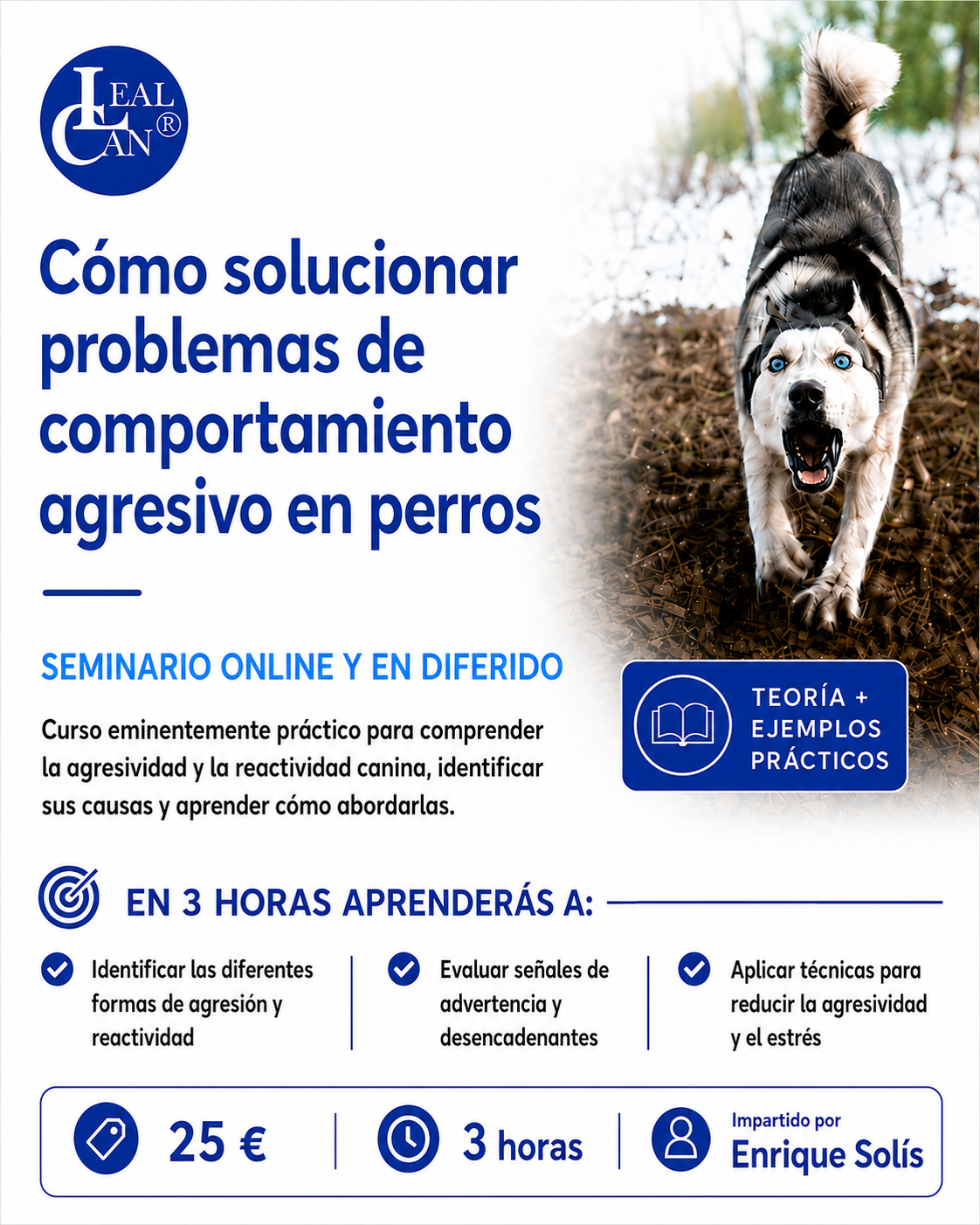 Comportamientos agresivos