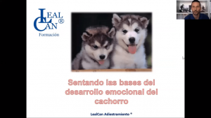 Diapositivas Desarrollo emocional del cachorro.