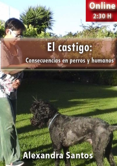EL CASTIGO. Consecuencias en perros y humanos.