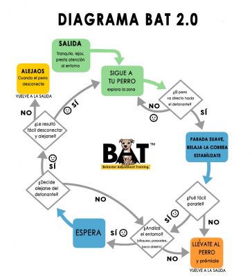 Diagrama de flujo de BAT