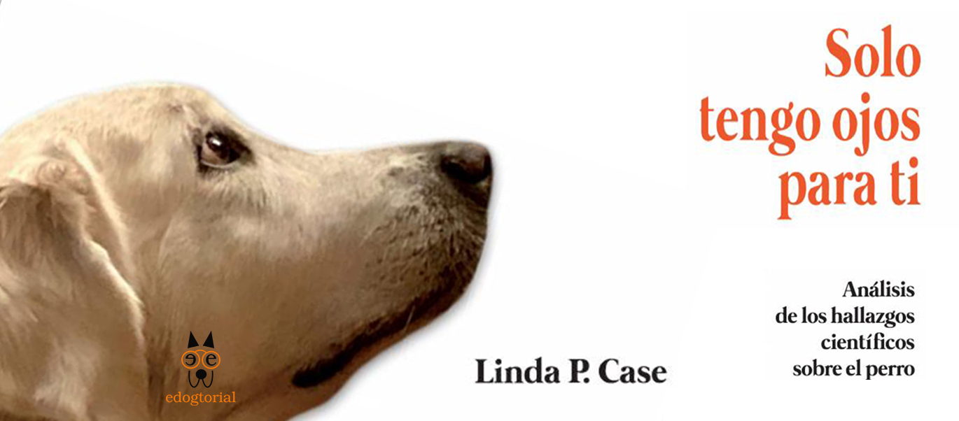 Solo tengo ojos para ti