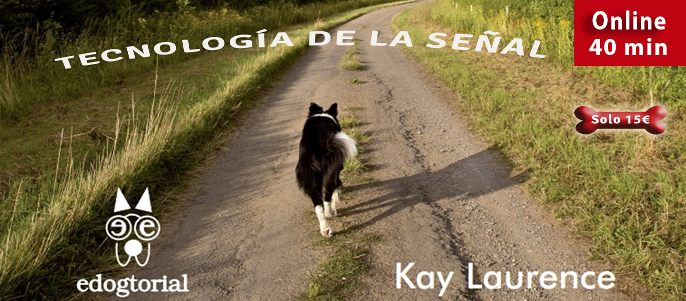 TECNOLOGÍA DE LA SEÑAL.KAY LAURENCE