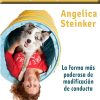 Entrenamiento lúdico y aprendizaje emocional. Angelica Steinker