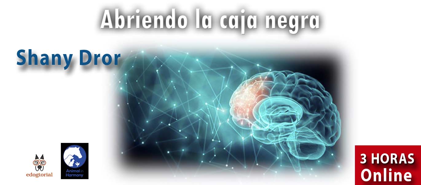 ABRIENDO LA CAJA NEGRA