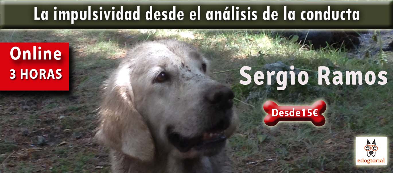 IMPULSIVIDAD DESDE ANÁLISIS DE LA CONDUCTA