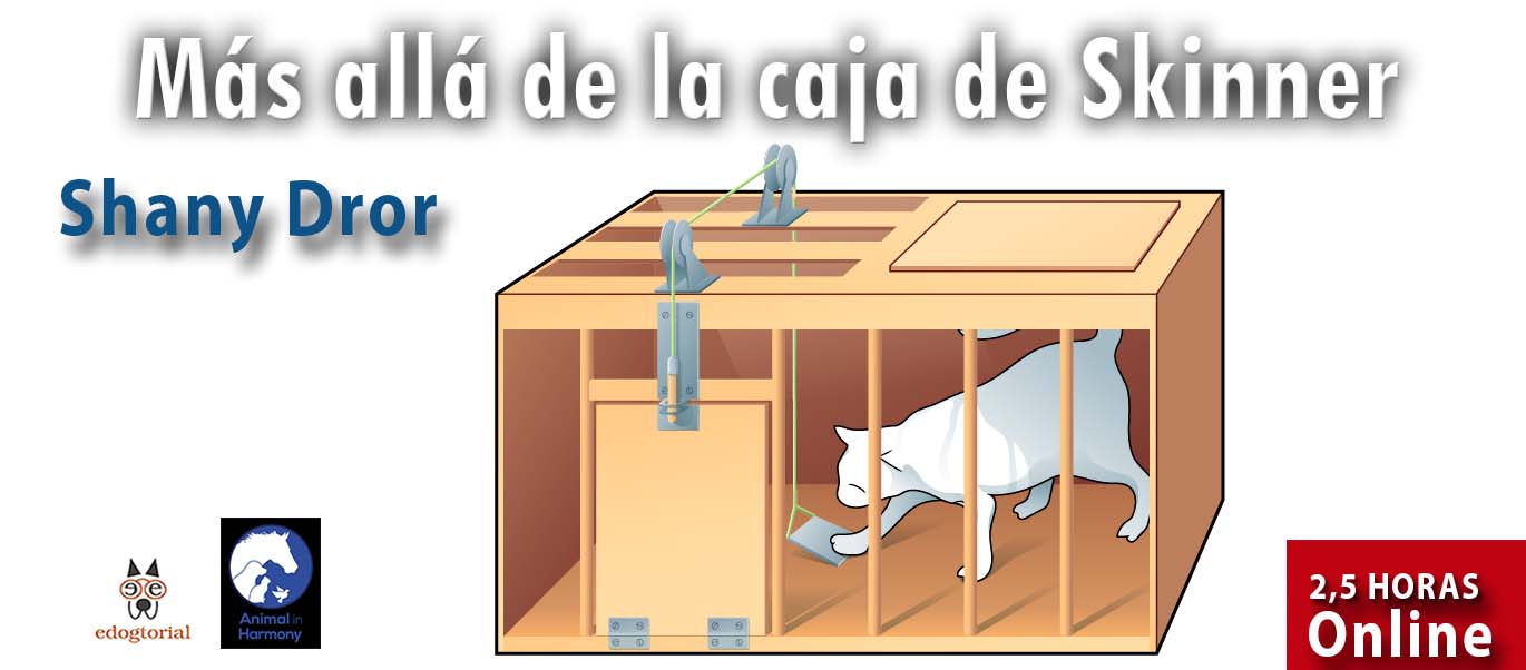 MÁS ALLÁ DE LA CAJA DE SKINNER