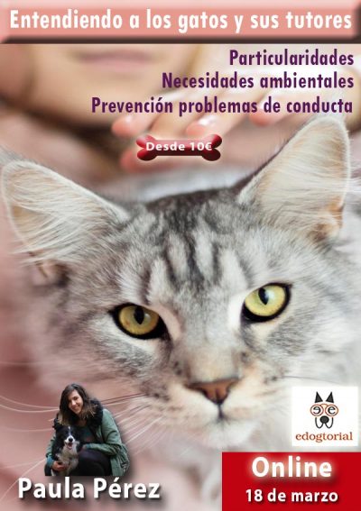 Entendiendo a los gatos. Paula Pérez