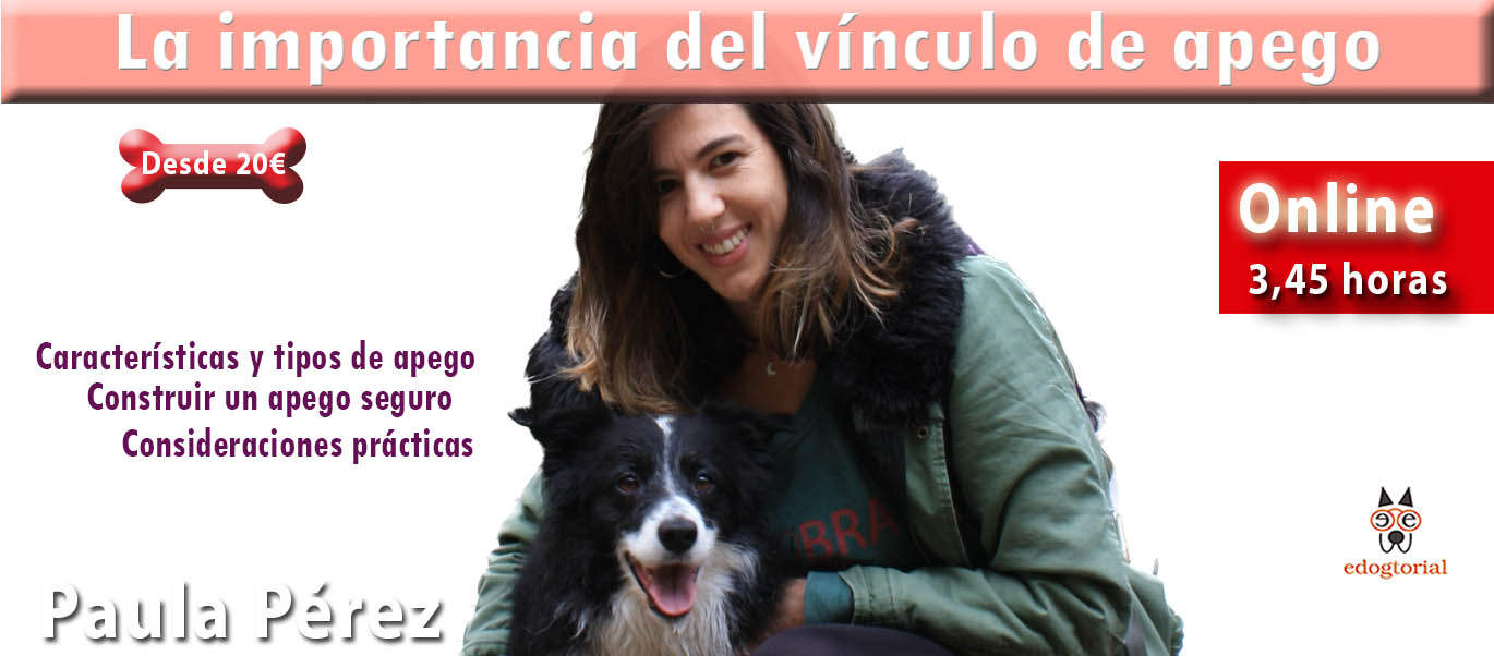 LA IMPORTANCIA DEL VÍNCULO DE APEGO