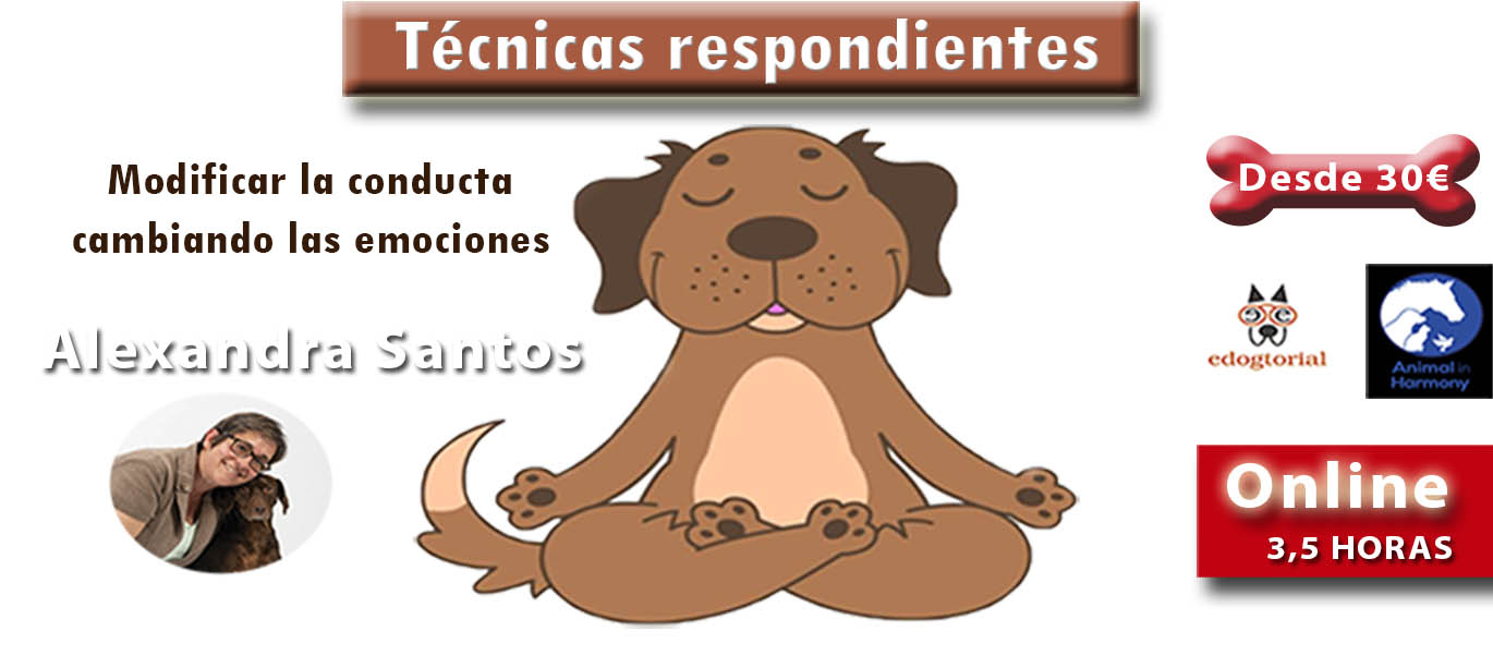 TÉCNICAS RESPONDIENTES. ALEXANDRA SANTOS