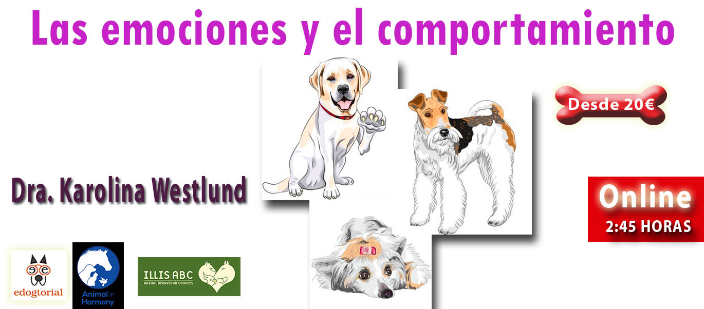 Estados de ánimo y emociones. Karolina Westlund