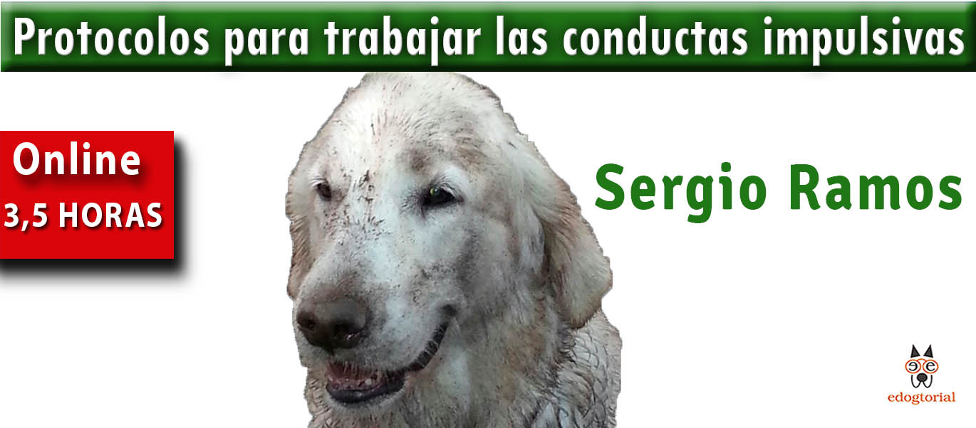 PROTOCOLOS TRABAJAR IMPULSIVIDAD