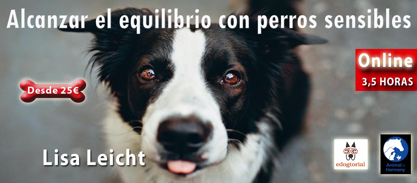 ALCANZAR EL EQUILIBRIO CON PERROS SENSIBLES. LISA LEICHT