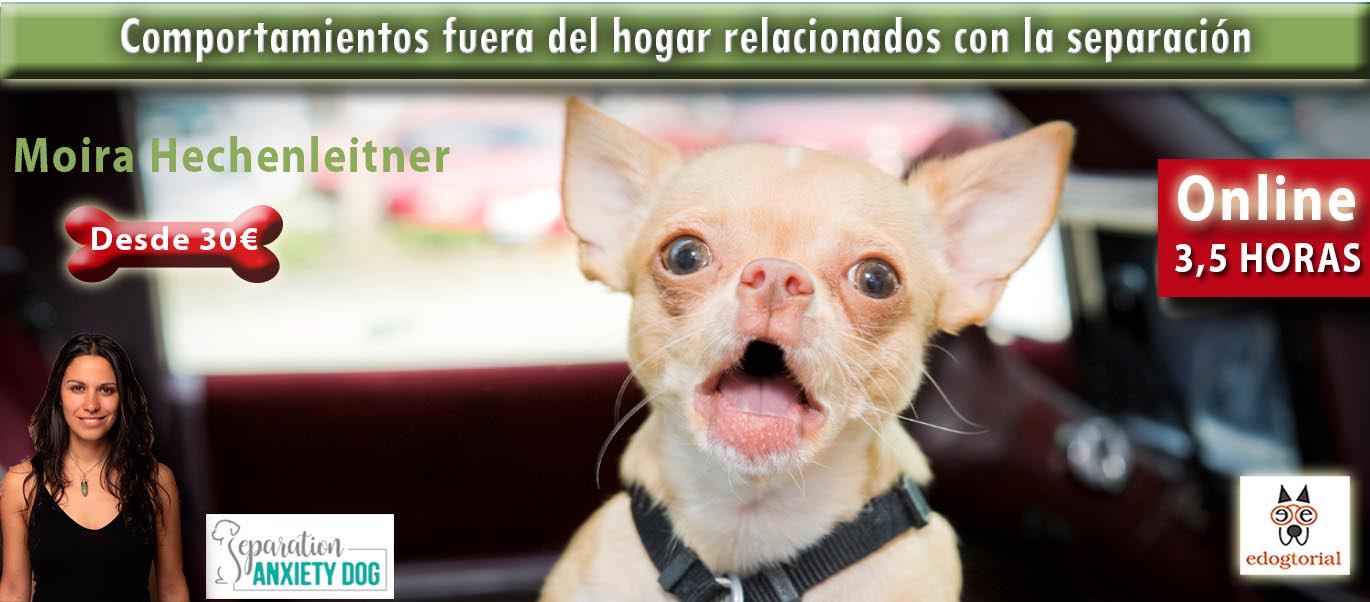 COMPORTAMIENTOS RELACIONADOS CON LA SEPARACIÓN FUERA DEL HOGAR. MOIRA HECHENLEITNER.