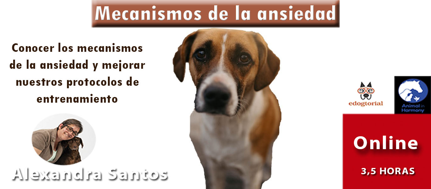 MECANISMOS DE LA ANSIEDAD