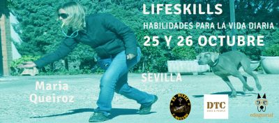 LIFESKILLS EN SEVILLA 2025