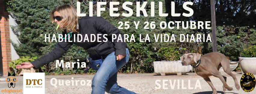 LIFESKILLS EN SEVILLA 2025