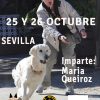 lIFESKILLS EN SEVILLA 2025