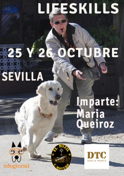 lIFESKILLS EN SEVILLA 2025