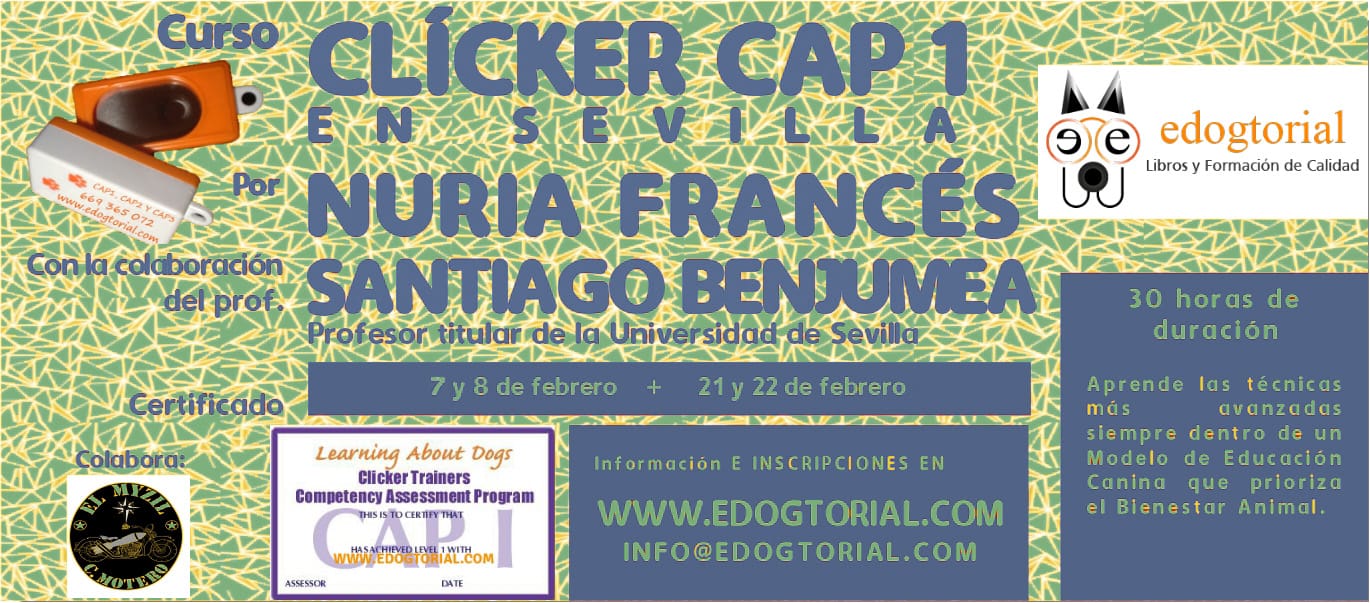 curso de clícker y cap1 en sevilla 2026