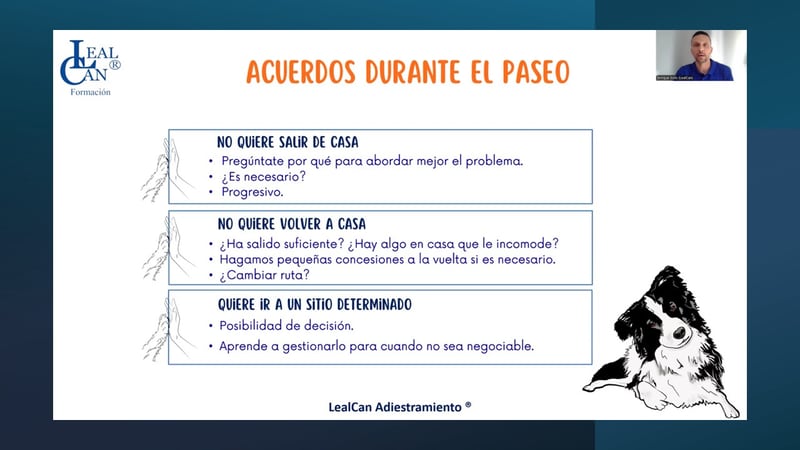 Webinario «El paseo ideal con tu perro» - Imagen 3