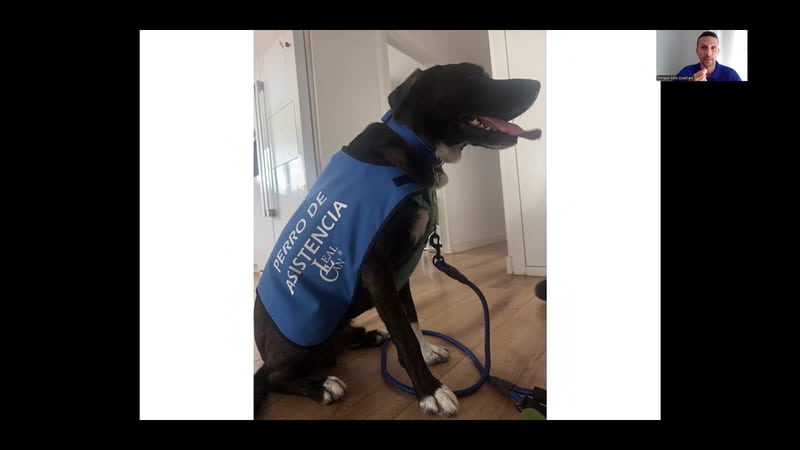 Webinario «Perros de asistencia psiquiátrica» - Imagen 3