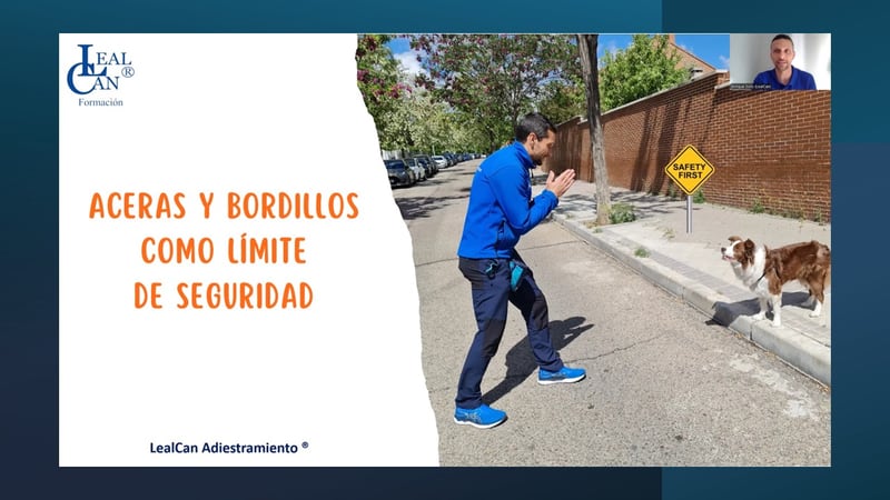 Webinario «El paseo ideal con tu perro» - Imagen 4