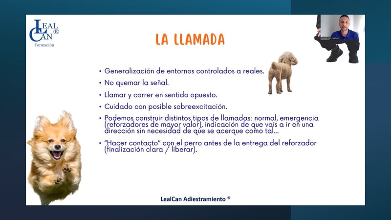 Webinario «El paseo ideal con tu perro» - Imagen 5