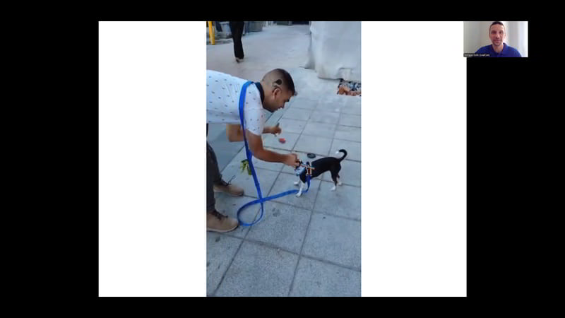 Webinario «Perros de asistencia psiquiátrica» - Imagen 5