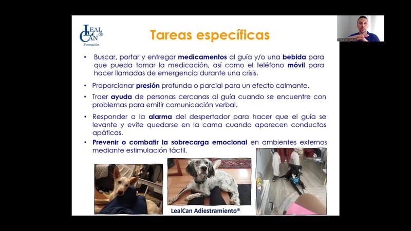 Webinario «Perros de asistencia psiquiátrica» - Imagen 6
