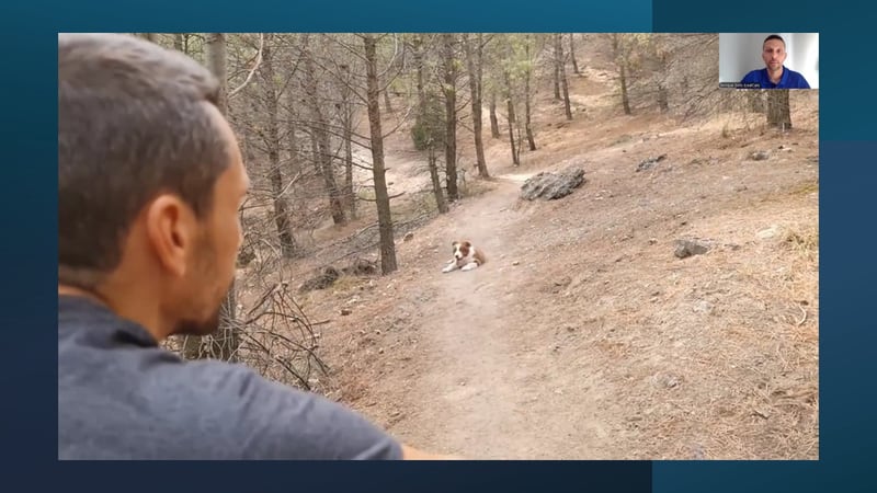 Webinario «El paseo ideal con tu perro» - Imagen 7