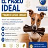 El paseo ideal