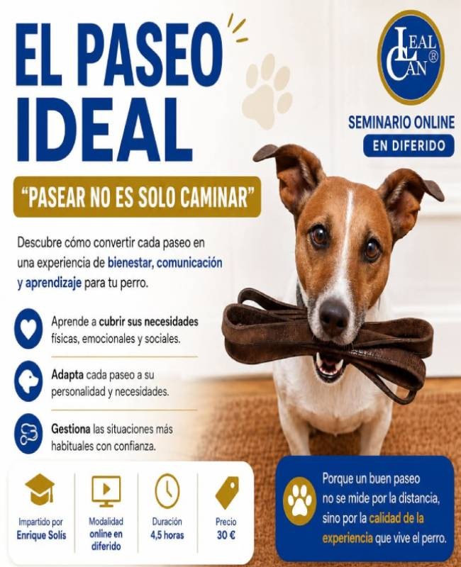El paseo ideal