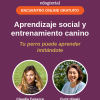 Encuentro online gratuito con Claudia Fugazza y Fumi Higaki