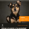 Perros adoptados