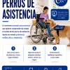 Perros de asistencia. Lealcan
