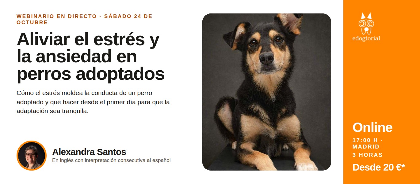 Perros adoptados
