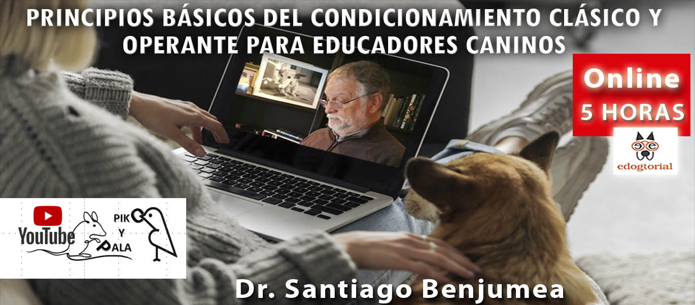 Principios básicos del condicionamiento clásico y operante