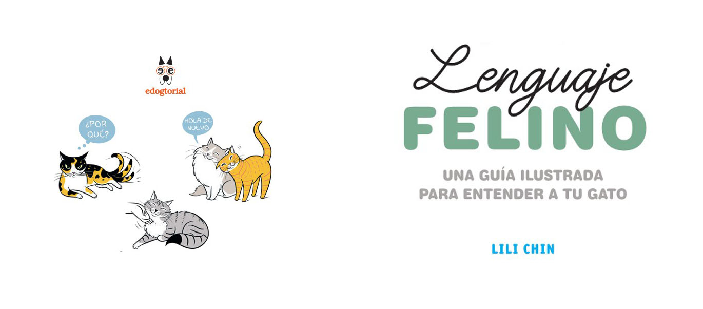 Lenguaje felino. Lili Chin