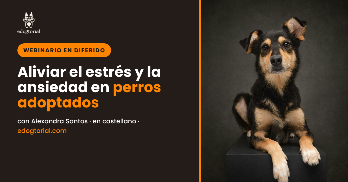 Aliviar el estrés y la ansiedad en perros adoptados. Alexandra Santos